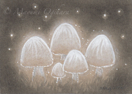 Mushroom Fantasy by Mayumi Ogihara